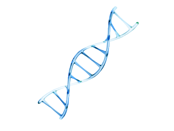 Infinity Regenerative Clinic